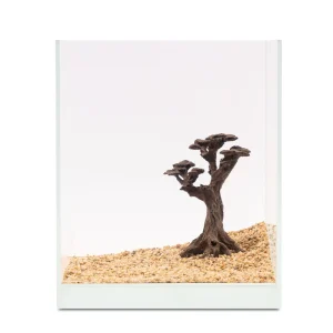 Sofort Bestellen NatureHolic Stone Bonsai Pico, 14,5 x 13 x 6 cm